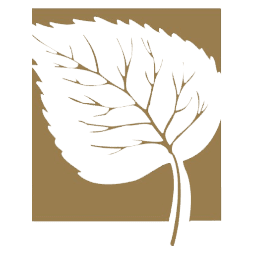 Mountain West Insurance & Financial Services, LLC - Favicon